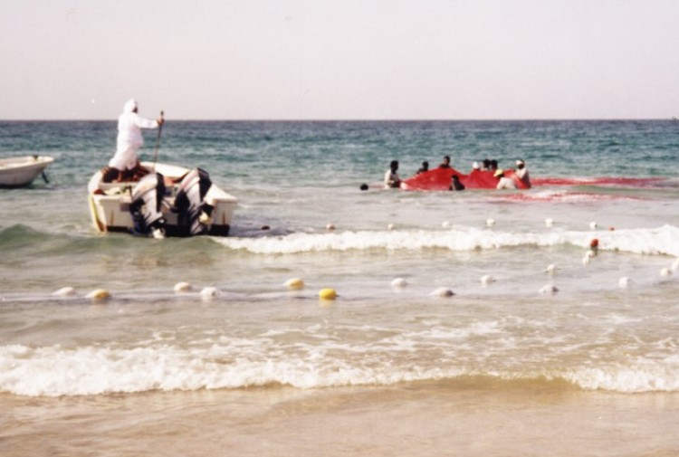 Pêche Oman .2